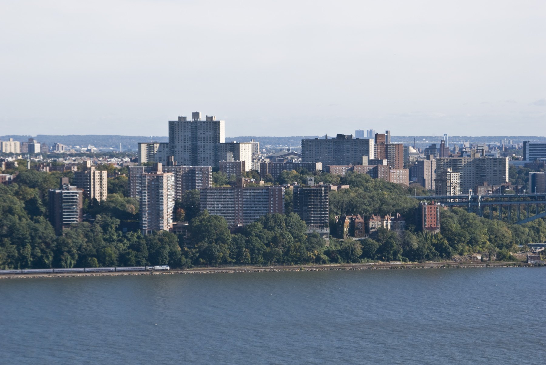 Bronx collection agency
